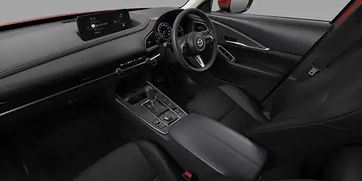 Drive Edition / Touring ブラックレザーパッケージ