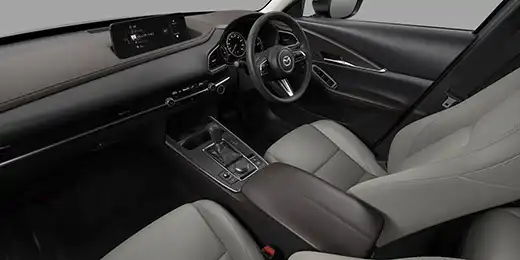 Drive Edition / Touring ホワイトレザーパッケージ