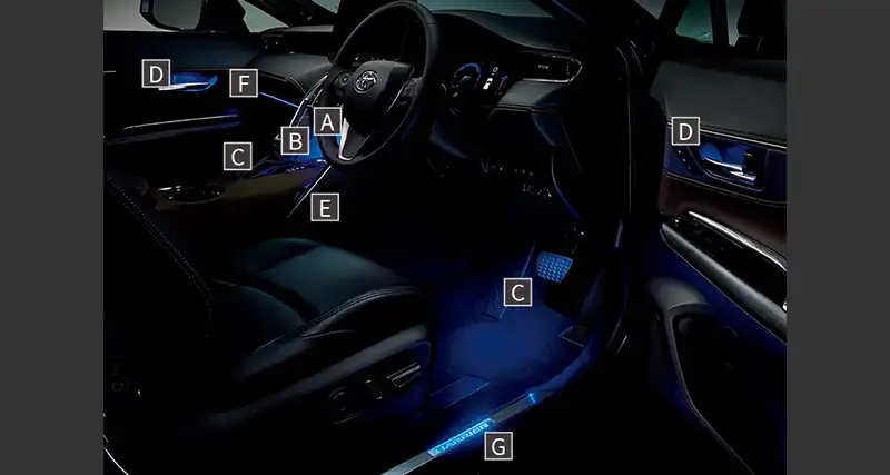 イルミネーテッドエントリーシステム