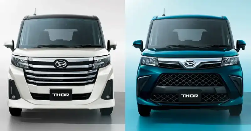 トールの特徴は?